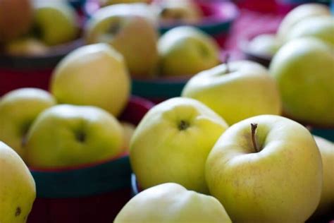 Variedad de manzanas rojas y amarillas, algunas cortadas para mostrar su interior jugoso y firme.
