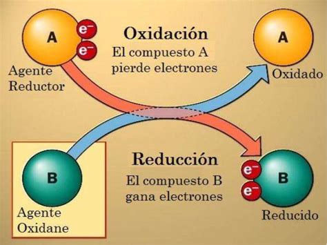 Ilustración del proceso de reducción de un fondo de cocina