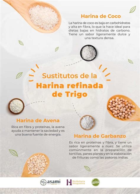 Infografía sobre los mejores sustitutos de harina de trigo: frutos secos, legumbres y pseudocereales como el trigo sarraceno o la quinoa.
