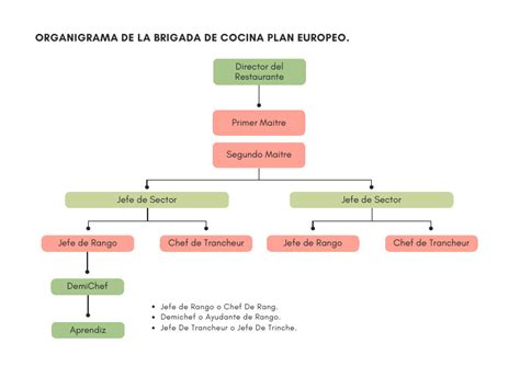 Diagrama esquemático de la estructura jerárquica de una brigada de cocina profesional