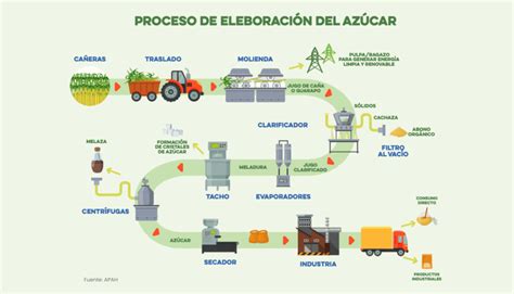 Infografía: Proceso de preparación del té de brasas con azúcar y carbón
