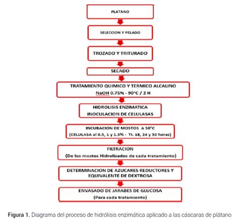 Diagrama de flujo del proceso de hidrólisis del almidón para obtener jarabe de glucosa.