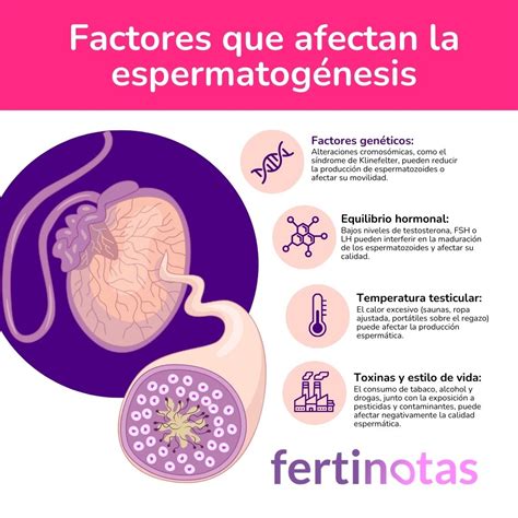 Infografía detallando los factores que afectan la frescura de las patatas fritas (humedad, oxígeno, luz, presión) y cómo el envase los mitiga.
