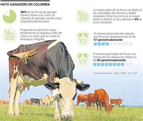 Infografía mostrando la evolución del tamaño del hato ganadero de Santa Clara a lo largo de los años.