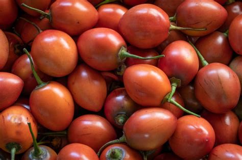Fotografía detallada de tomates de árbol frescos mostrando su textura y colores característicos