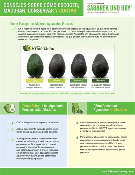 Infografía sobre cómo madurar y conservar aguacates