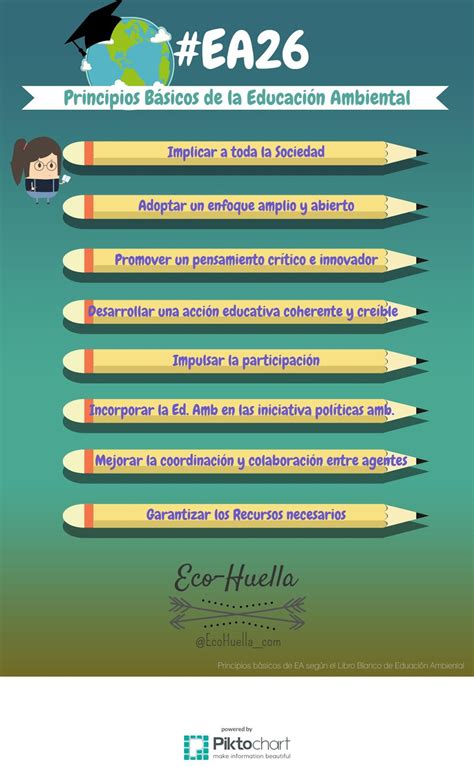 Infografía sobre los principios de la educación ambiental.