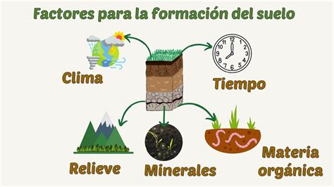Infografía comparativa: factores ambientales (humedad, temperatura, tipo de suelo) que favorecen la formación de adipocira frente a la descomposición común.