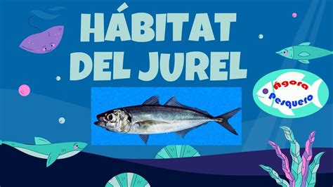 Esquema que muestra el hábitat del jurel en aguas profundas y sus características físicas principales