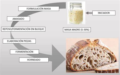 Esquema visual de los cinco tiempos fundamentales: amasado, fermentación, boleado, adición de ingredientes y horneado.