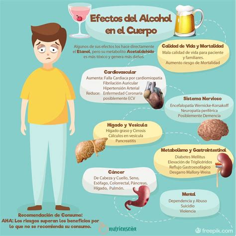 Esquema de los efectos negativos del consumo excesivo de alcohol en el cuerpo