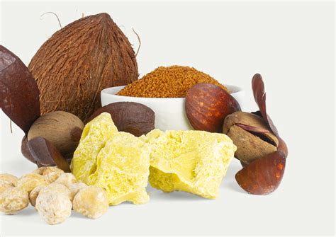 Infografía detallando los ingredientes clave: cacao, manteca de karité y aceites naturales presentes en la línea