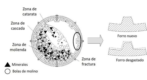 Esquema de corte transversal de un molino SAG mostrando la disposición de las placas de revestimiento, las barras levantadoras y la carga interna de mineral y bolas de acero.